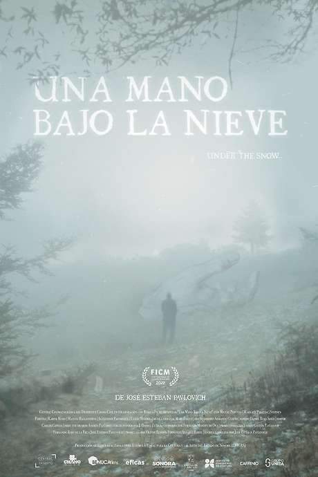    Fabian, a fisherman from the beaches of northern Mexico, spends his days working on a boat under the sun, but his life takes a turn when terrible news arrive.  